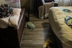 3 bedroom house move