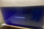 1 bedroom flat move