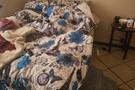 2 bedroom house move