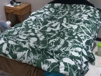 1 bedroom flat move