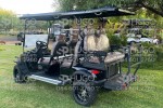 Golf cart