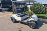 2 Seater Golf Cart