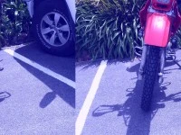 Motorcycle Honda CTX200 Bushlander