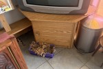 2 bedroom house move