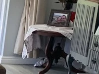 3 bedroom house move