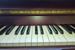 Otto Bach piano