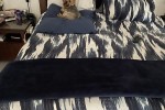 Queen bed with headboard and one side table, Double door fridge and sm...