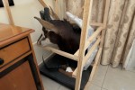3 bedroom house move
