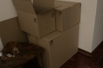 1 bedroom flat move