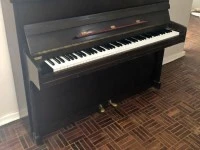 Carl Otto Upright 61keys piano