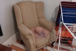 Queen Bed XL, Single Bed XL mattress only, Kratcher yellow vacuum + bl...