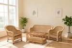 Wick rayan lounge suit and chairs and barstools