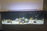 Fish Tank with Stand