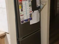 Queen bed and base, Fridge freezer single width, Medium size plant pot...