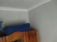 3 bedroom house move