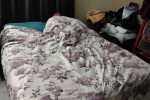 1 bedroom flat move