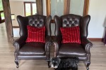 Chairs x 6
