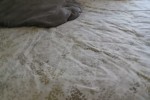 2 bedroom flat move