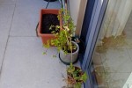 2 bedroom flat move