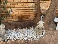 3 bedroom house move