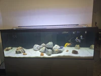 Fish Tank with Stand