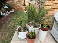 3 bedroom house move