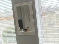 3 bedroom house move