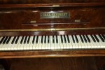 Carl schubert piano