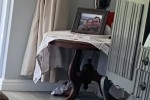 3 bedroom house move