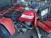 Motorcycle Honda ATC250ES