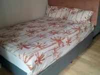 Double bed, Headboard, Sleeper couch, 170cm Desk, Standard Fridge, 7kg...