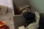 3 bedroom house move