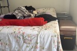 1 bedroom flat move