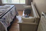 2 x Queen beds + matrasses (2), 2 seater couch (2), Single chair, Tv c...
