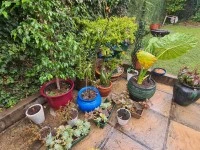 1 bedroom flat move