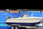 Motor boat Cobra cat 6,6 meter, twin 130hp yamaha motors on double axl...