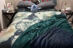 Double bed, Fridge, Washing Machine, Couch, Desk, Large Dresser, Desk,...