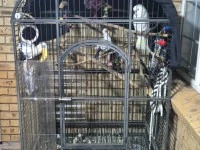 Garden pots with plants, bird cage, barrel, wheel barrow