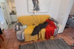 1 bedroom flat move