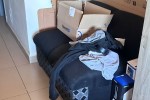 1 bedroom flat move