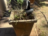 Concrete 2 seater bench, Concrete garden lamp, 3 concrete pots with pl...