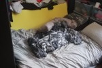1 bedroom house move