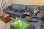 2 bedroom flat move