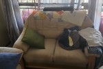 3 bedroom flat move