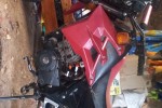 Motorcycle Bashan s Sam 250