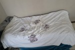 3 bedroom flat move