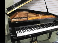 Bernard Steiner piano