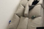 2 bedroom flat move