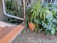 12 Large Pots, Small bench, broom cupboard, folding ladder, Weber