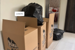 4+ bedroom house move